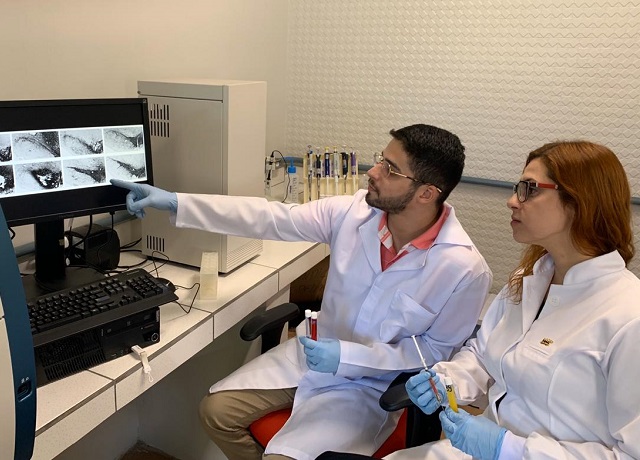 Pesquisas da UFPR investigam alterações não motoras ocasionadas pela Doença de Parkinson e forma de diagnóstico precoce