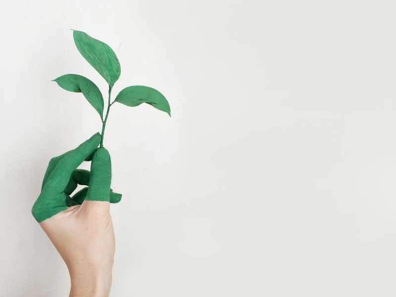 Dia Internacional da Terra: como estamos cuidando da nossa casa?