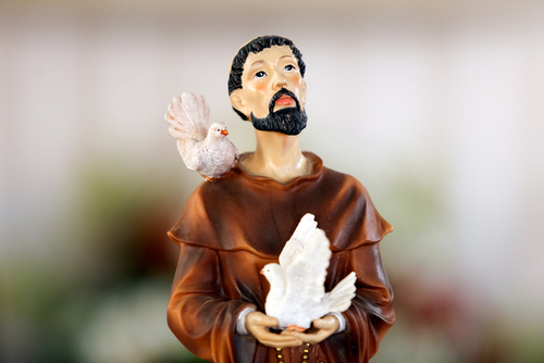 O coração de São Francisco: uma inspiração para nosso tempo