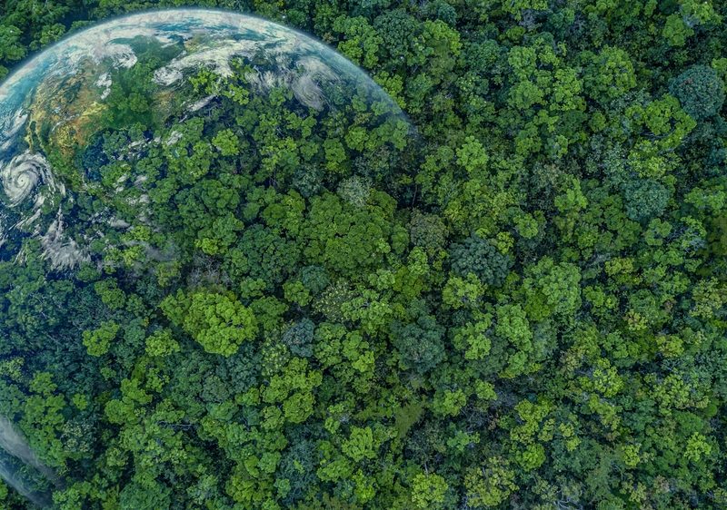 Laudato Si’: Reflexões do Papa Francisco sobre o Meio Ambiente