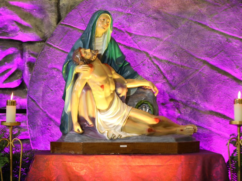 Liturgia na Quaresma: por que “Glória” e “Aleluia” são omitidos na Santa Missa?