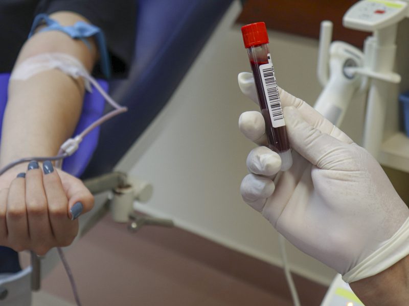 Dia mundial da doação de sangue: doar é ato de solidariedade