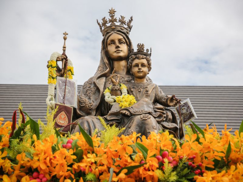 Nossa Senhora do Carmo, Mãe e Guia na Fé