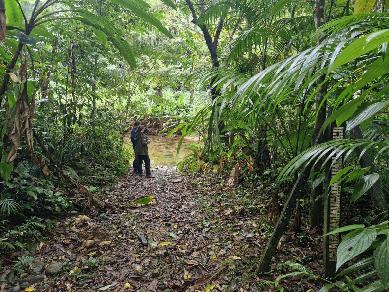 Meio Ambiente: saiba como a natureza contribui para o bem-estar humano